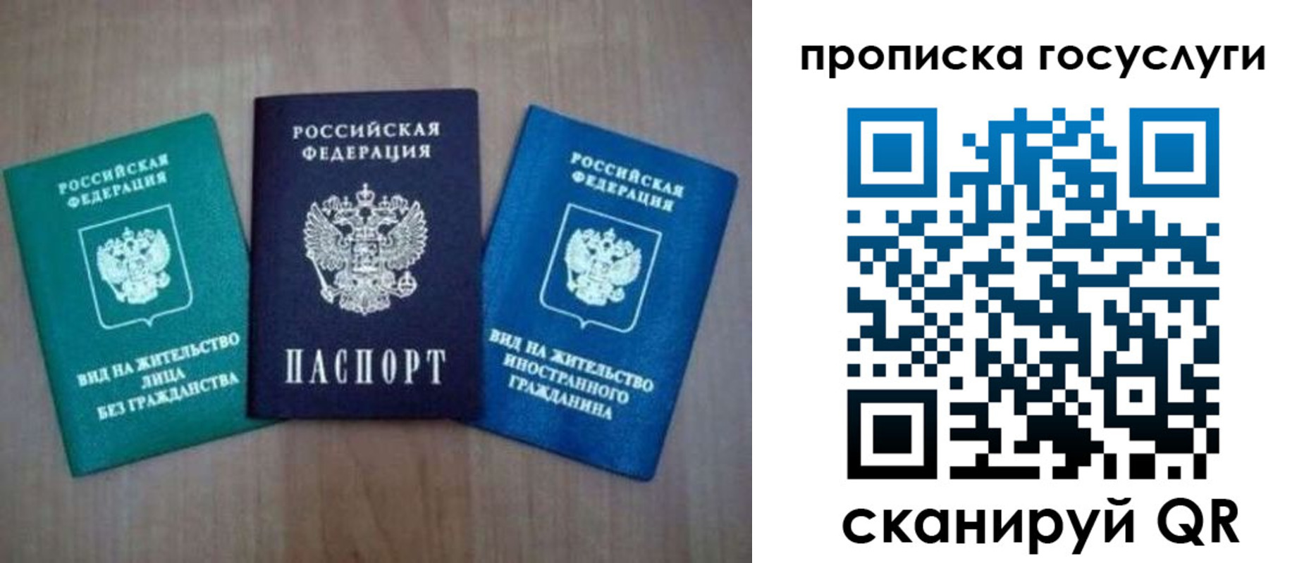прописка для школы в Зверево